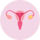 Fase ovulatoria
